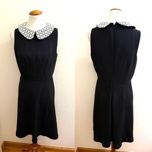 Elegant Black Dress with Lace Collar